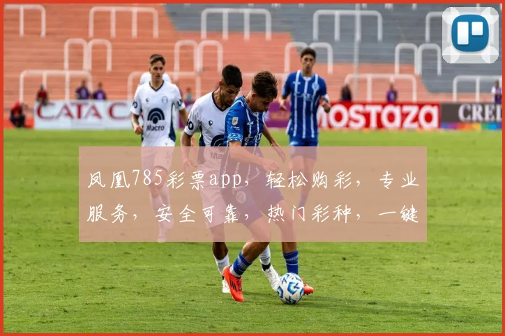 凤凰785彩票app，轻松购彩，专业服务，安全可靠，热门彩种，一键投注，尽享快乐