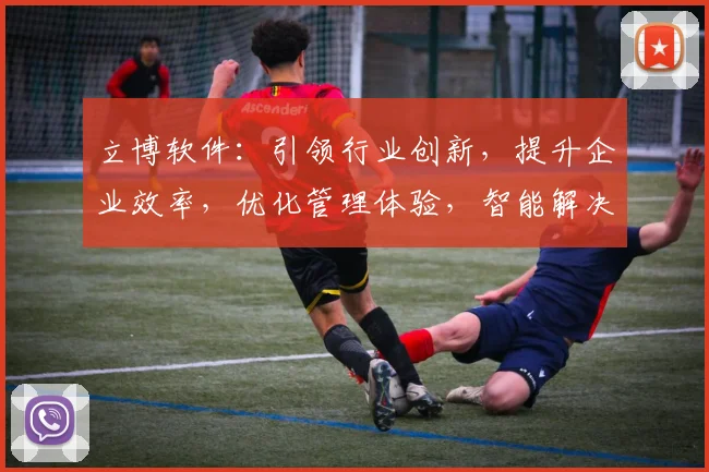 立博软件：引领行业创新，提升企业效率，优化管理体验，智能解决方案专家。