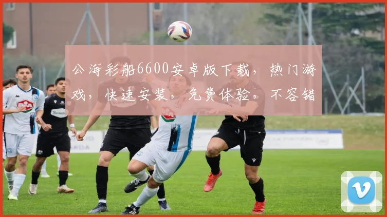 公海彩船6600安卓版下载，热门游戏，快速安装，免费体验，不容错过