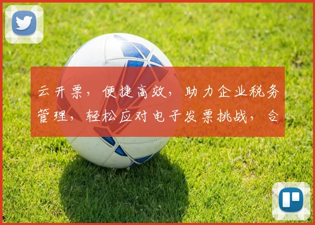 云开票，便捷高效，助力企业税务管理，轻松应对电子发票挑战，合规无忧三重保障。